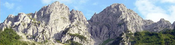 Bergmsk Alpy