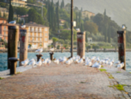 Lago di garda